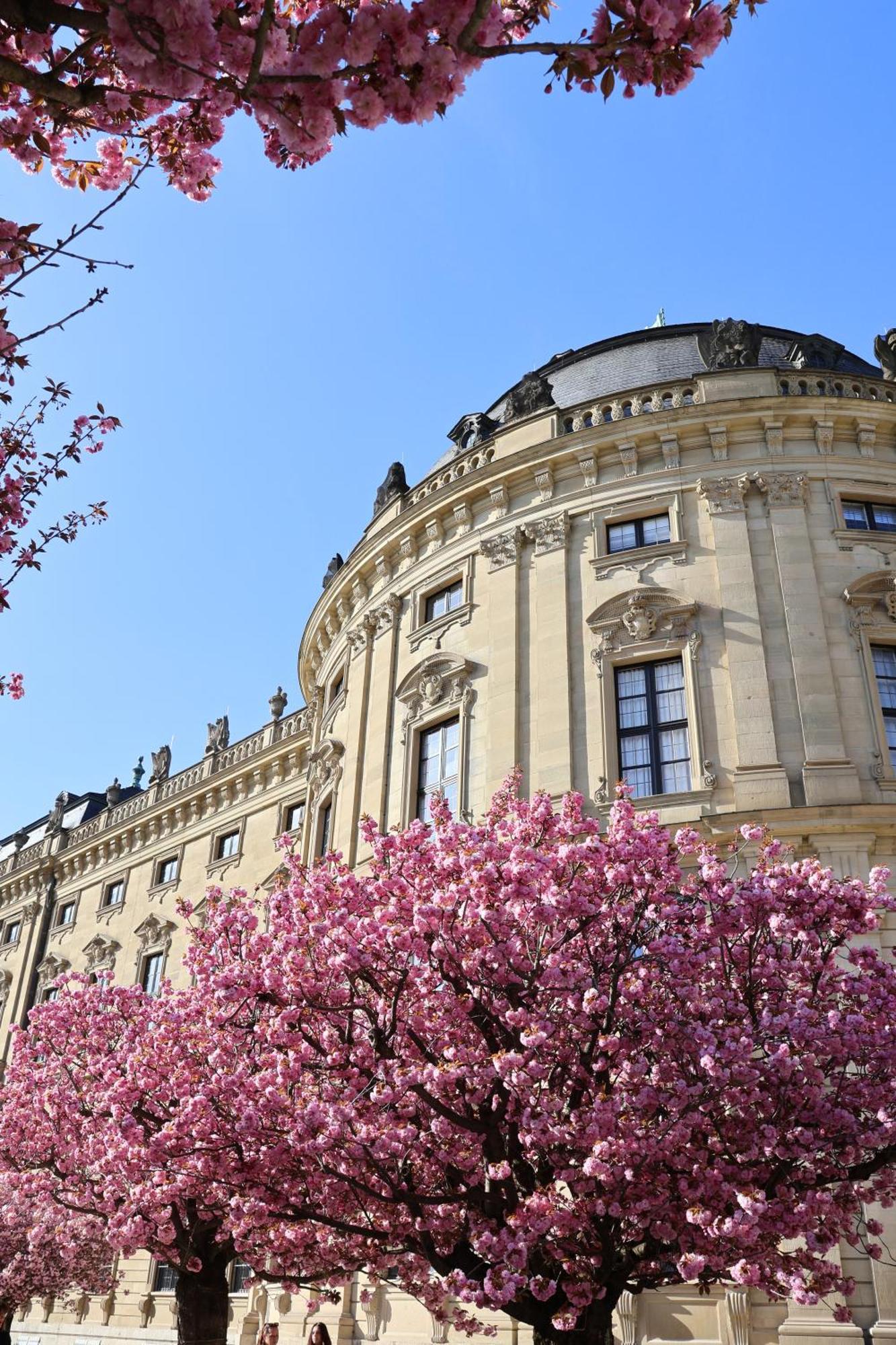 Apartment Wohnen Im Herzen Der Altstadt Würzburg